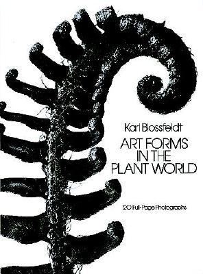 Art Forms in the Plant World: 120 Full-Page Photographs (Dover Pictorial Archive)