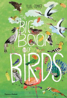 Image for The Big Book of Birds