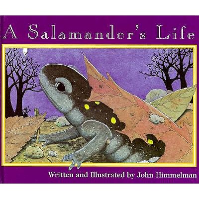 A Salamander's Life (Nature Upclose)