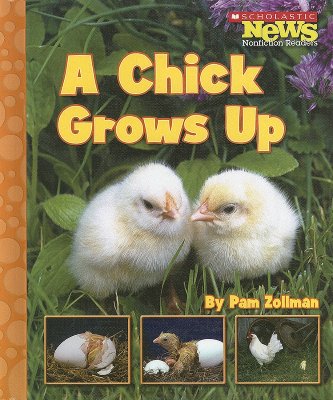 A Chick Grows Up (Scholastic News Nonfiction Readers)