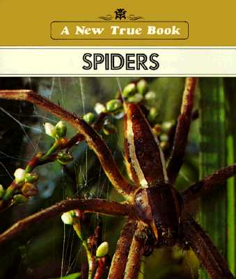 Spiders (New True Book)