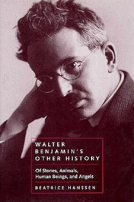 Walter Benjamin's Other History: Of Stones, Animals, Human Beings, and Angels (Weimar and Now: German Cultural Criticism)