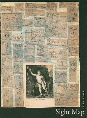 Sight Map: Poems (Volume 26) (New California Poetry)