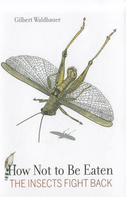 Image for How Not to Be Eaten: The Insects Fight Back