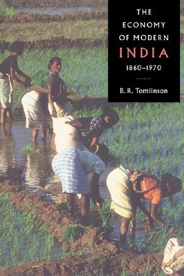 The Economy of Modern India, 1860-1970 (The New Cambridge History of India)