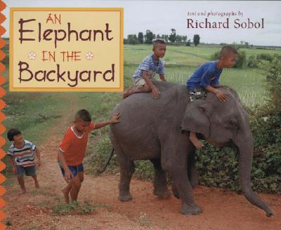 Elephant in the Backyard