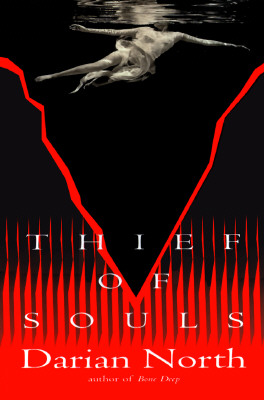 Image for Thief of souls