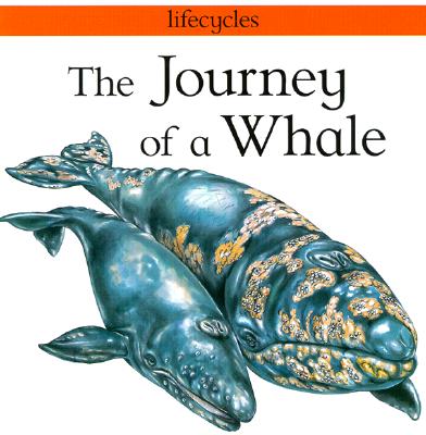 The Journey of a Whale (Lifecycles)