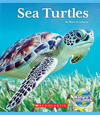 Image for Sea Turtles (Nature's Children) (Library Edition) Sea Turtles (Nature's Children) (Library Edition)