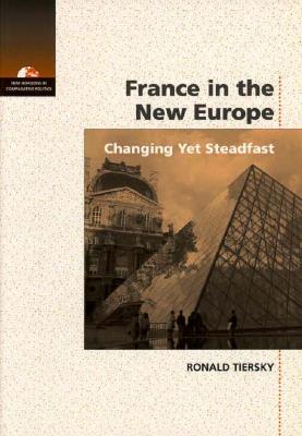 France in the New Europe: Changing Yet Steadfast (New Horizons in Comparative Politics)