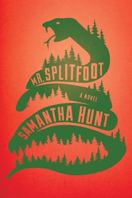 Image for Mr. Splitfoot A Novel