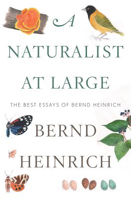 Naturalist at Large: The Best Essays of Bernd Heinrich