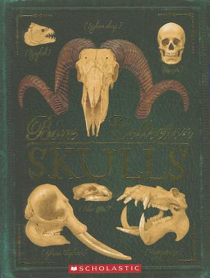 Image for Bone Collection: Skulls