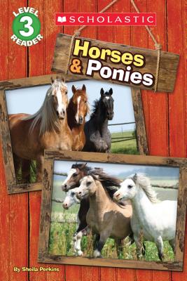Horses and Ponies (Scholastic Reader, Level 3)