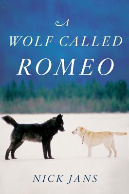 Image for A Wolf Called Romeo A Wolf Called Romeo