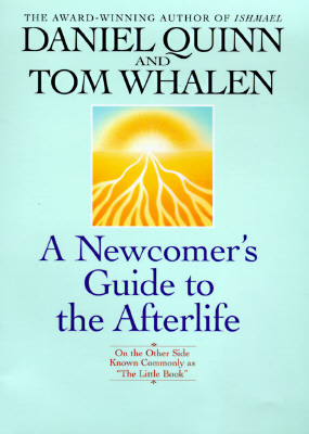 A Newcomer's Guide to the Afterlife