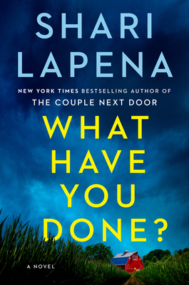 What Have You Done: A Novel