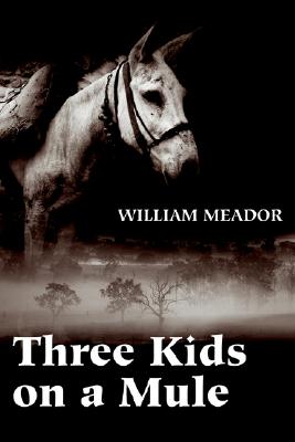 Image for Three Kids on a Mule Three Kids on a Mule