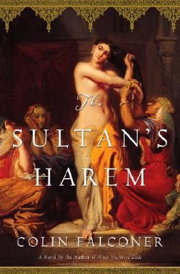 SULTAN'S HAREM: A NOVEL - BOOK CLUB EDITION