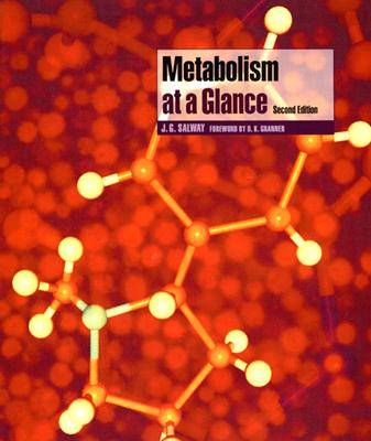 Metabolism at a Glance
