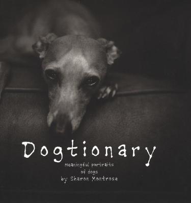 Image for Dogtionary: Meaningful Portraits of Dogs