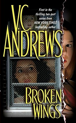 Image for Broken Wings