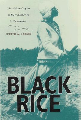 Black Rice: The African Origins of Rice Cultivation in the Americas,