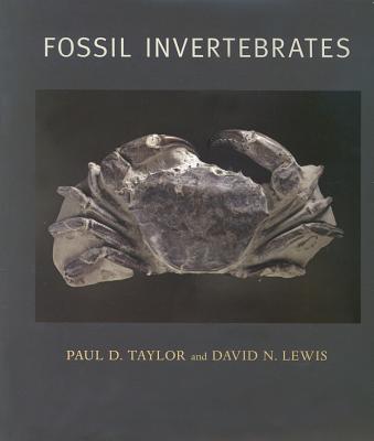Fossil Invertebrates