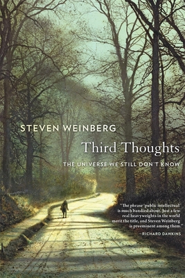 Third Thoughts: The Universe We Still Dont Know