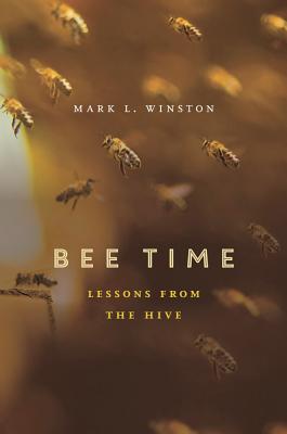 Image for Bee Time: Lessons from the Hive
