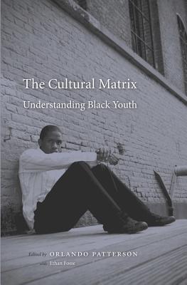 Image for The Cultural Matrix: Understanding Black Youth