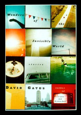 The Wonders of the Invisible World: Stories