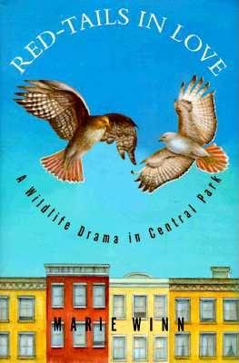 Image for Red-Tails in Love: A Wildlife Drama in Central Park