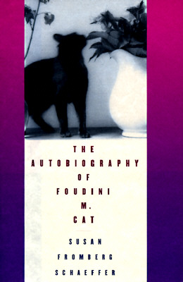 Image for Autobiography of Foudini M. Cat