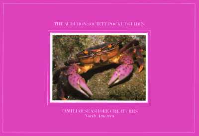 National Audubon Society Pocket Guide to Familiar Seashore Creatures
