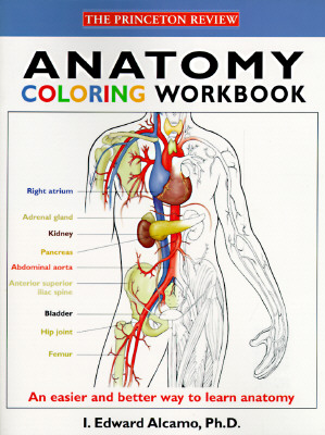 Image for Anatomy Coloring Workbook (Princeton Review)