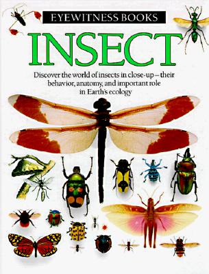 Insect (American)