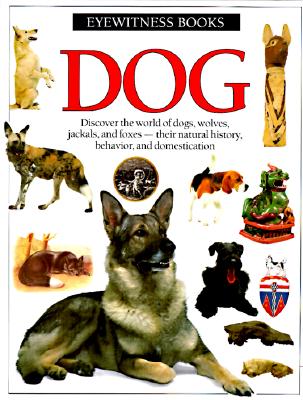 Dog (Eyewitness Books)