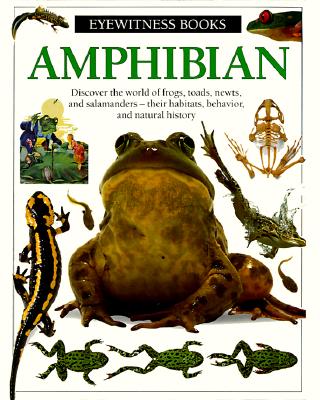 Amphibian