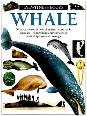 Whale (Eyewitness)