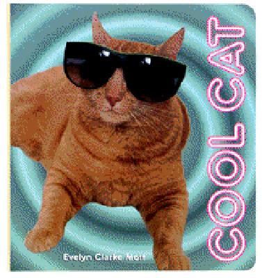 Cool Cat (Board Books)
