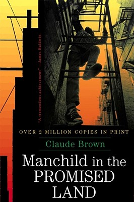 Image for Manchild in the Promised Land