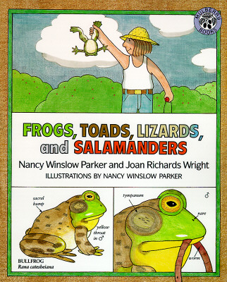 Image for Frogs, Toads, Lizards, and Salamanders Frogs, Toads, Lizards, and Salamanders