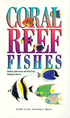 Coral Reef Fishes