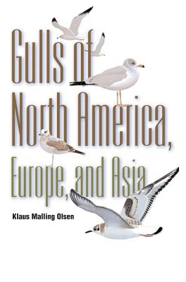 Gulls of North America, Europe, and Asia