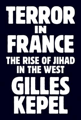 Terror in France: The Rise of Jihad in the West (Princeton Studies in Muslim Politics (64))