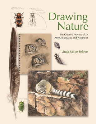 Image for Drawing Nature: The Creative Process of an Artist, Illustrator, and Naturalist Drawing Nature: The Creative Process of an Artist, Illustrator, and Naturalist