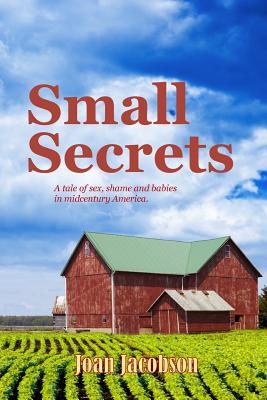 Image for Small Secrets Small Secrets