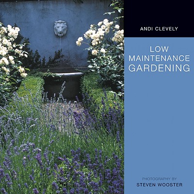 Low Maintenance Garden