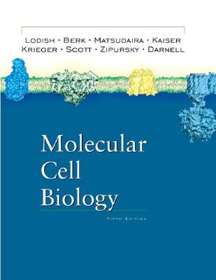 Image for Molecular Cell Biology